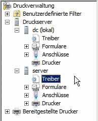 Druckverwaltung - Treiber überprüfen